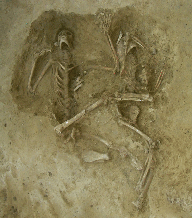 Restos óseos (muerte por lepra) Excavación en Achenheim