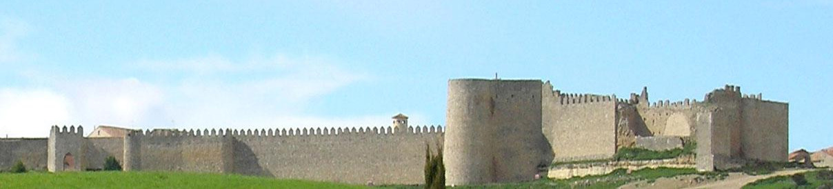 Fortaleza de origen medieval situada en el camino de Santiago, de la que apenas quedan restos.