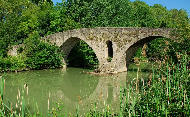 Puente de la Magdalena de Pamplona, Navarra